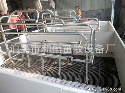 和信養(yǎng)豬設(shè)備供應(yīng)
