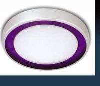 1001-22W/淡蘭色/橙色/紫色/粉紅色