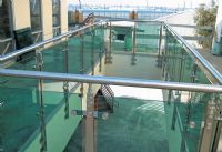 不銹鋼工程護(hù)欄立柱