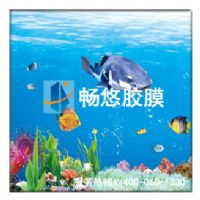 暢悠大型水上樂(lè)園防水裝飾膠膜