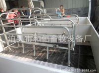 和信養(yǎng)豬設(shè)備供應(yīng)