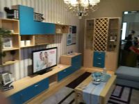 賽克（SK）緞面板---2016款最新最柔性櫥柜門板