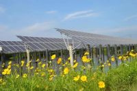 光伏支架帶銹防腐蝕涂料面M9010